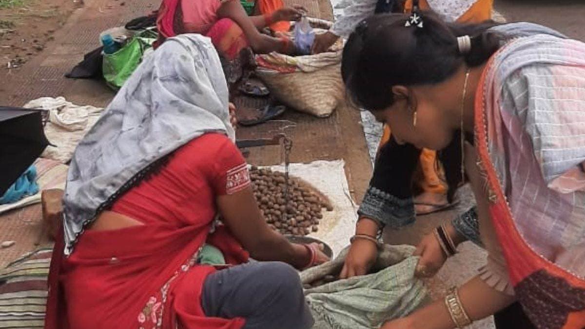CGNews: छत्तीसगढ़ में 1200 रुपये किलो मिल रही खुखड़ी, लेकिन कही बन ना जाए जानलेवा ?
