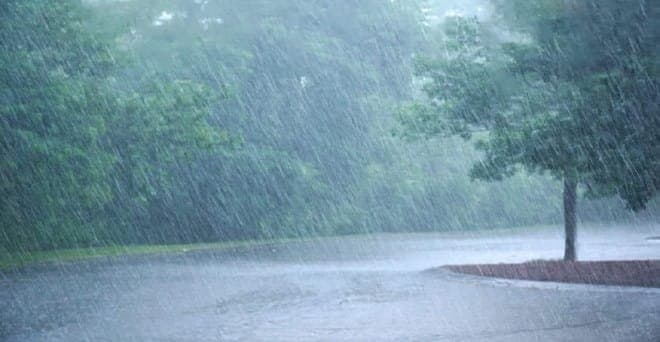 जिले में अब तक 180.3 मि.मी. औसत वर्षा दर्ज