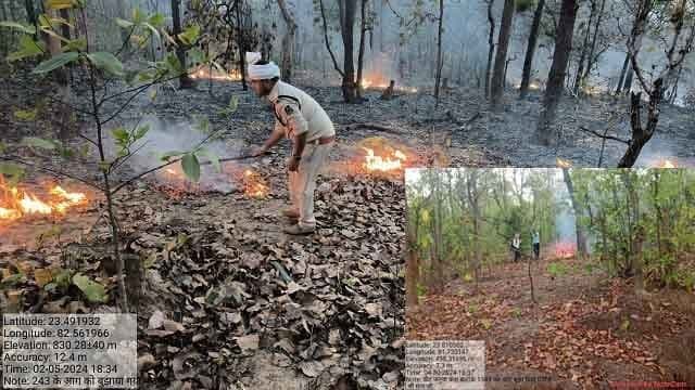 अग्नि घटनाओं से जंगलों को हो रही क्षति कम करने लगातार प्रयास जारी
